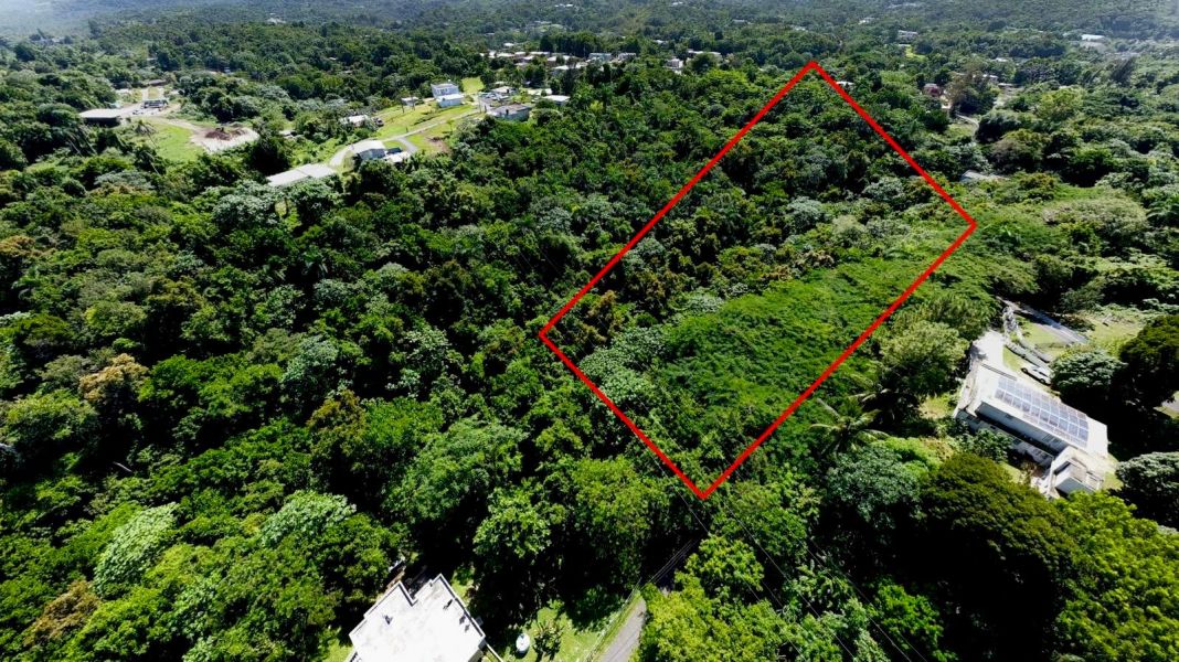 Bo Callejones Sect Las Campanas Carr 454 Km.hm 4.0 Lares 00669 PR