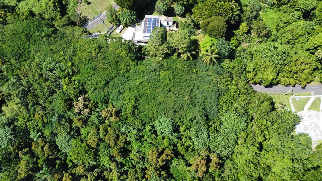 Bo Callejones Sect Las Campanas Carr 454 Km.hm 4.0 Lares 00669 PR