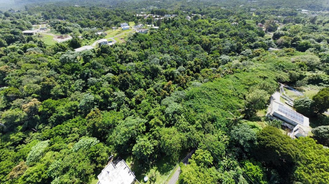 Bo Callejones Sect Las Campanas Carr 454 Km.hm 4.0 Lares 00669 PR