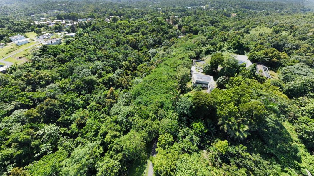 Bo Callejones Sect Las Campanas Carr 454 Km.hm 4.0 Lares 00669 PR