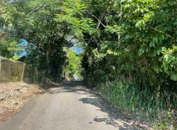 Bo Callejones Sect Las Campanas Carr 454 Km.hm 4.0 Lares 00669 PR