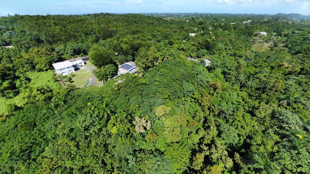 Bo Callejones Sect Las Campanas Carr 454 Km.hm 4.0 Lares 00669 PR