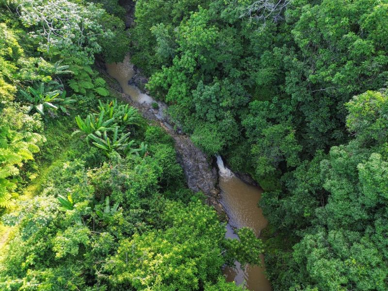 Bo Naranjo Carr 110 Km 3 Hm 8 Moca 00676 PR