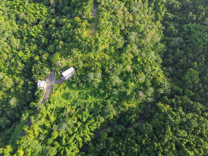 Bo Naranjo Carr 110 Km 3 Hm 8 Moca 00676 PR