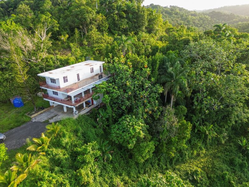 Bo Naranjo Carr 110 Km 3 Hm 8 Moca 00676 PR