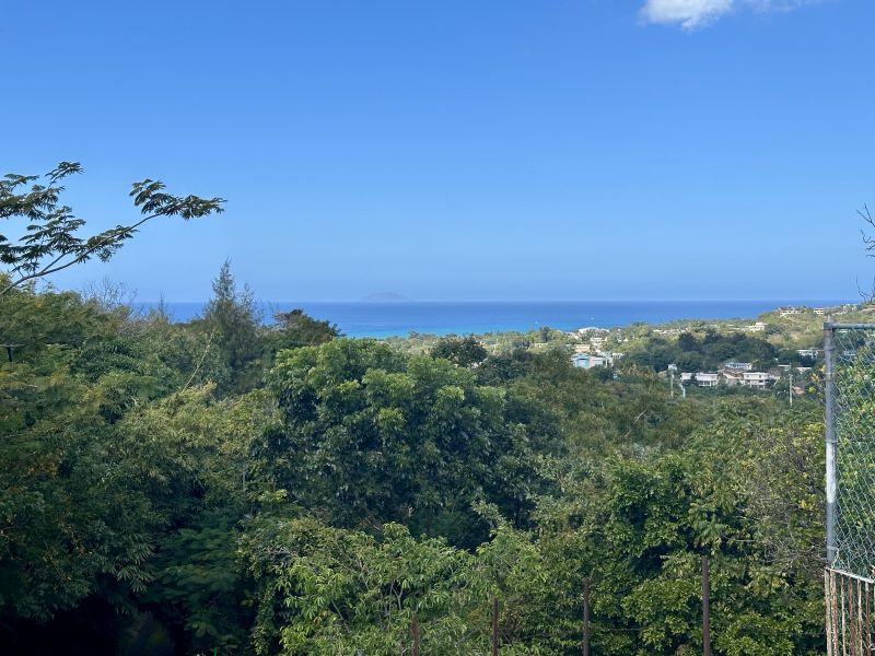 Bo Pueblo Carr 115 Km 2.2 Rincon 00677 PR