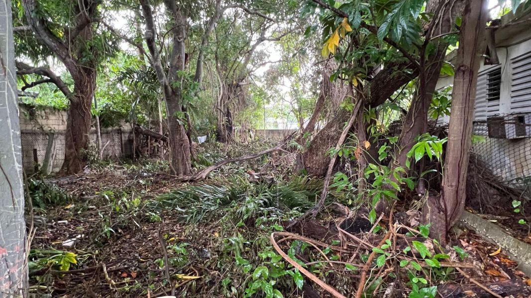 Carr 2 Km 69.3 Santana Arecibo 00612 PR