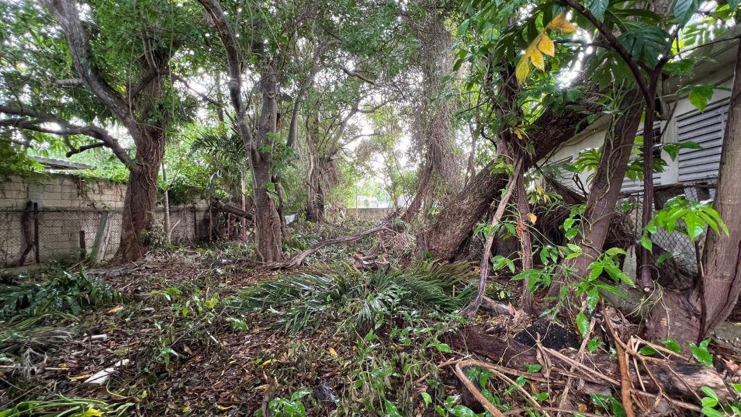 Carr 2 Km 69.3 Santana Arecibo 00612 PR