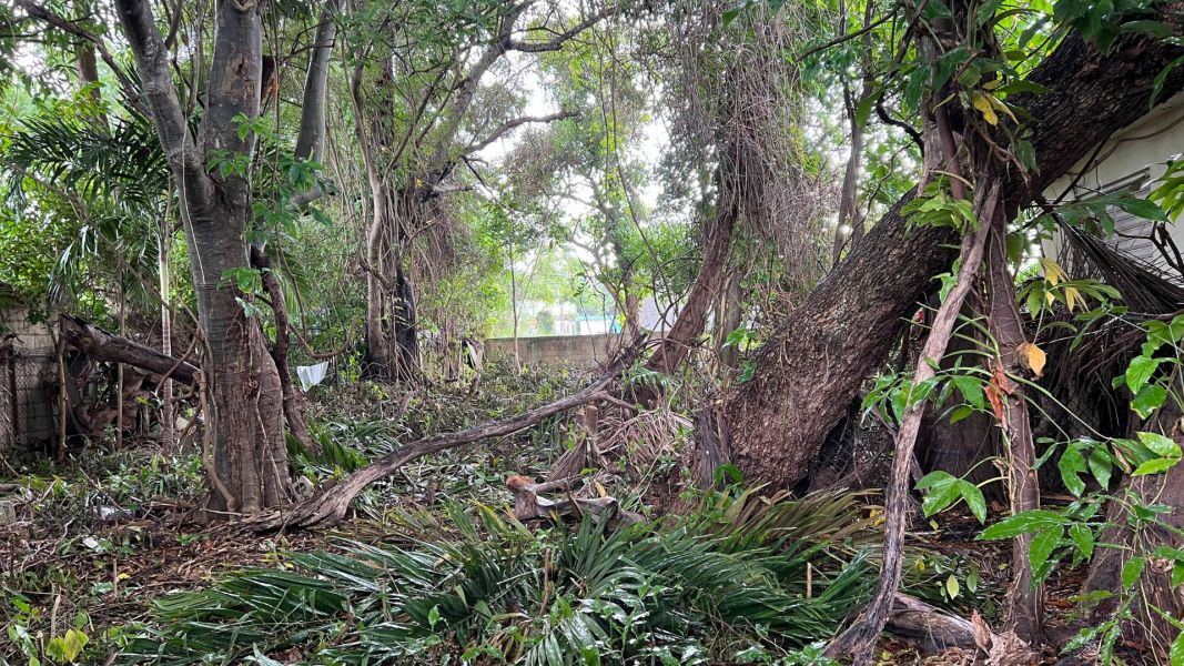 Carr 2 Km 69.3 Santana Arecibo 00612 PR