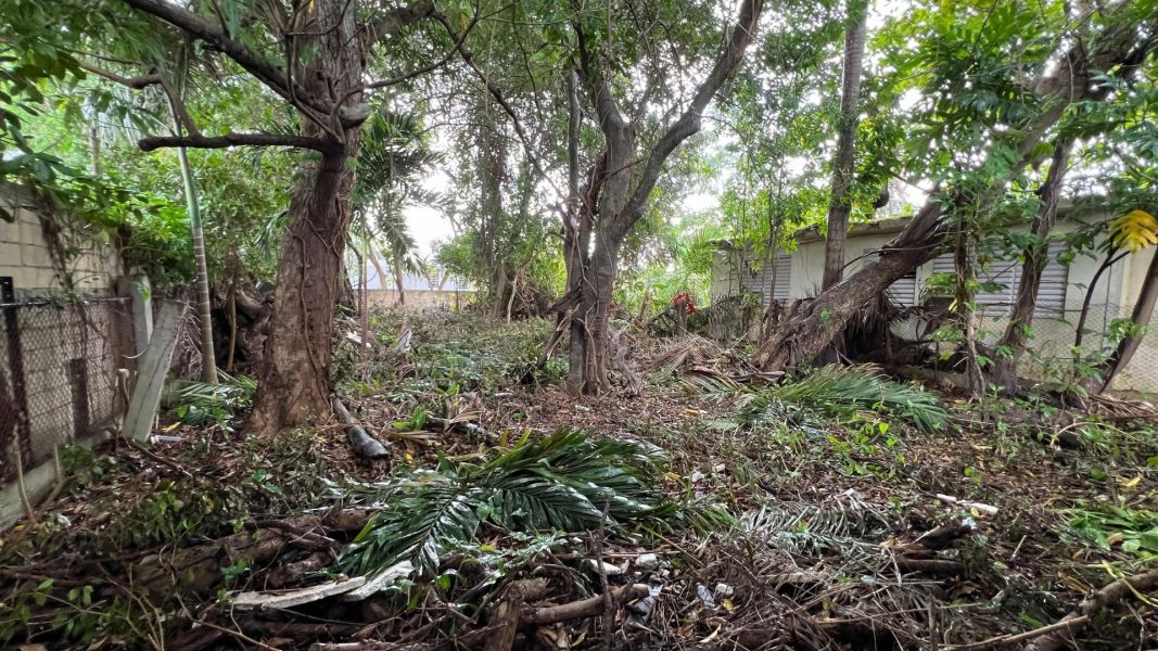 Carr 2 Km 69.3 Santana Arecibo 00612 PR