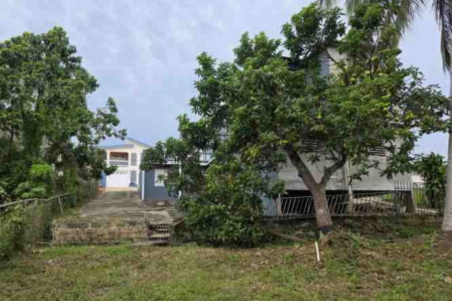 Mora Ward Angel St Sr 474 Km 0.8 Int #210 Isabela 00662 PR