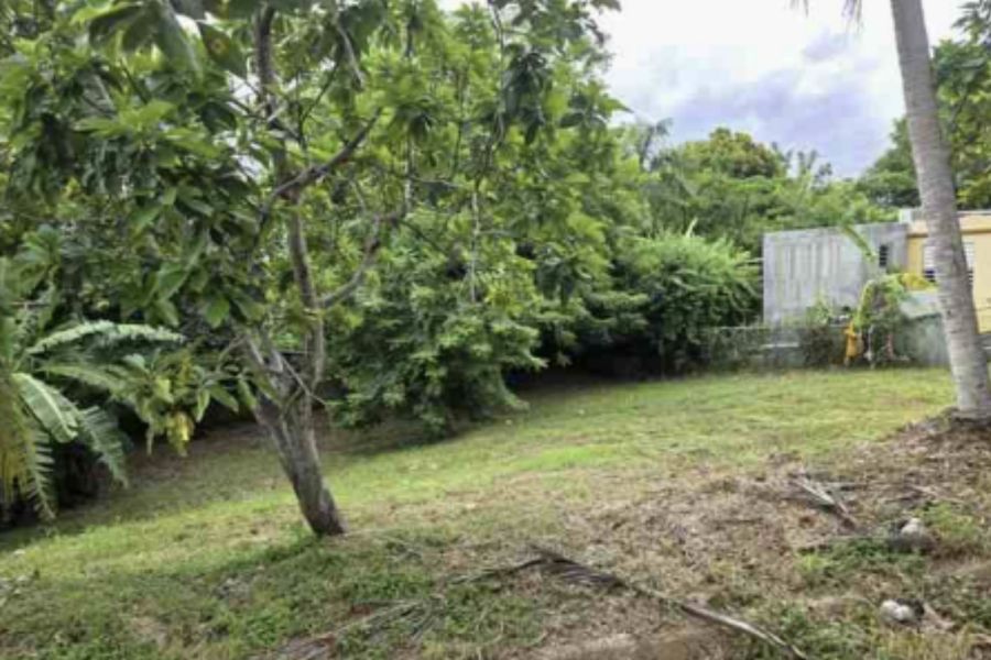 Mora Ward Angel St Sr 474 Km 0.8 Int #210 Isabela 00662 PR