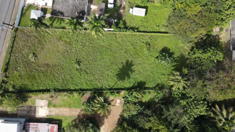 Mora Ward Angel St Sr 474 Km 0.8 Int #210 Isabela 00662 PR