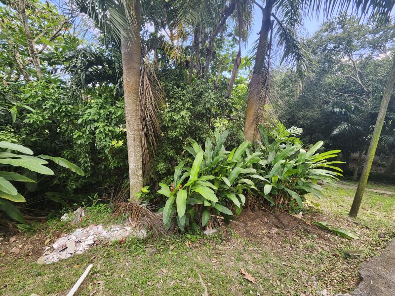 Bo Llanos Tuna Solar 1 Carr 300 Cabo Rojo 00623 PR