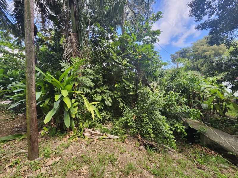 Bo Llanos Tuna Solar 1 Carr 300 Cabo Rojo 00623 PR