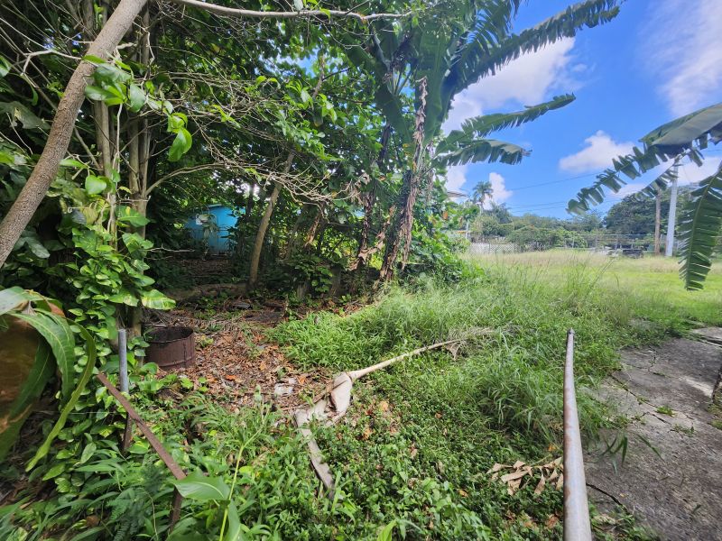 Bo Llanos Tuna Solar 1 Carr 300 Cabo Rojo 00623 PR