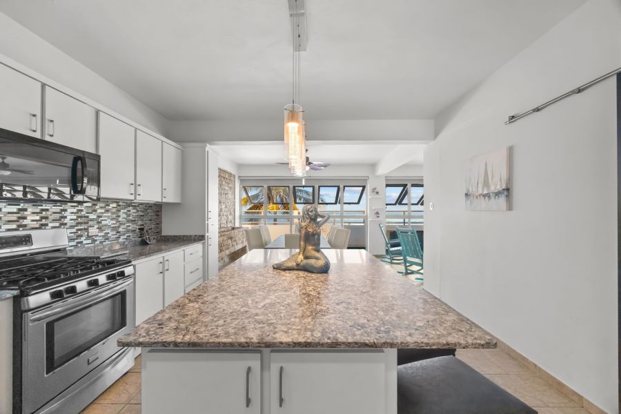 Carr 441 Km 2.6 Interior Bo Carrizal Adjuntas 00602 PR