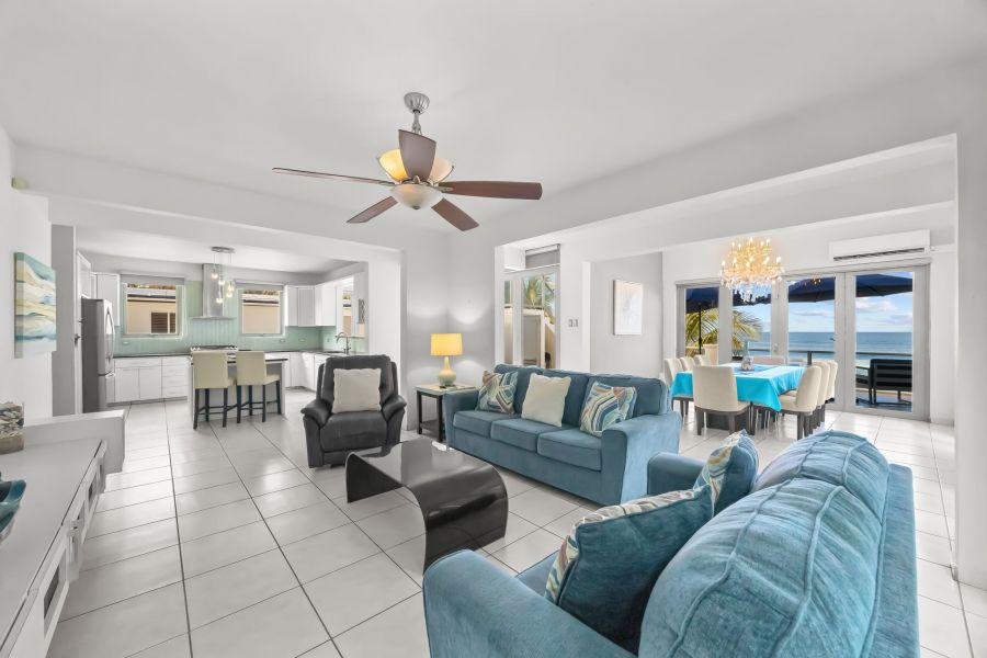 Carr 441 Km 2.6 Interior Bo Carrizal Adjuntas 00602 PR