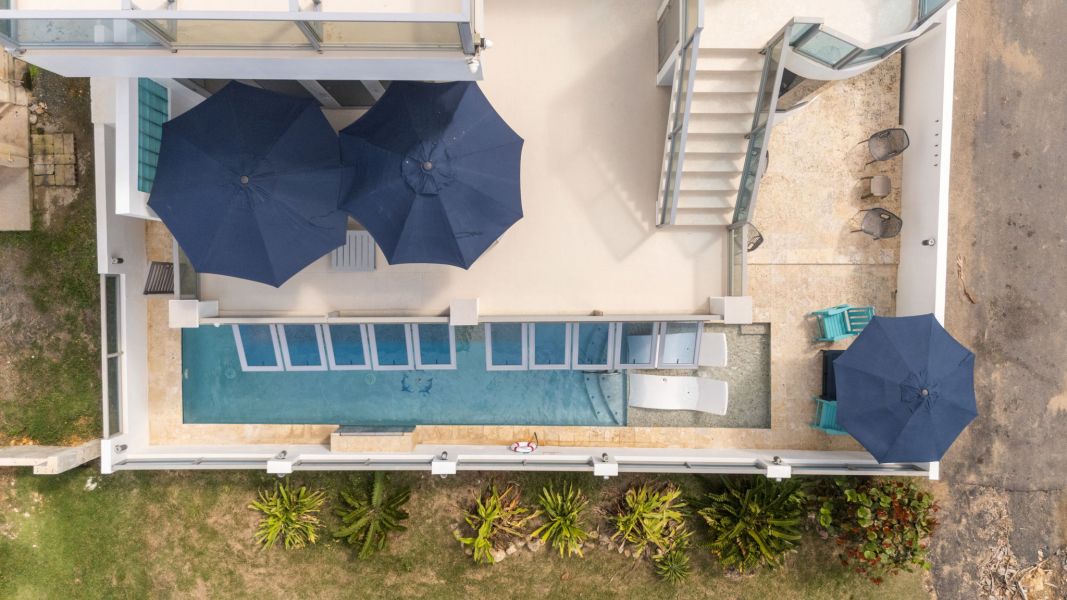 Carr 441 Km 2.6 Interior Bo Carrizal Adjuntas 00602 PR