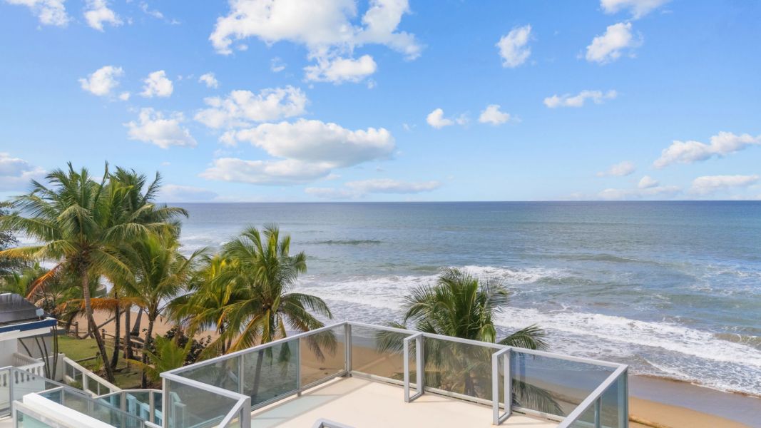 Carr 441 Km 2.6 Interior Bo Carrizal Adjuntas 00602 PR