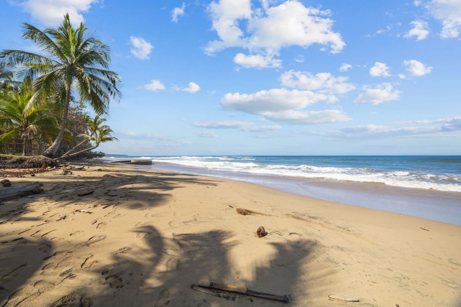 Carr 441 Km 2.6 Interior Bo Carrizal Adjuntas 00602 PR