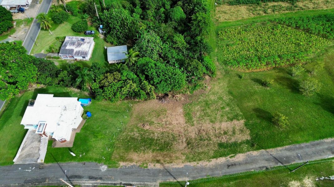 Bo Robles Carr 447 Km 4 Hm 6 San Sebastian 00685 PR