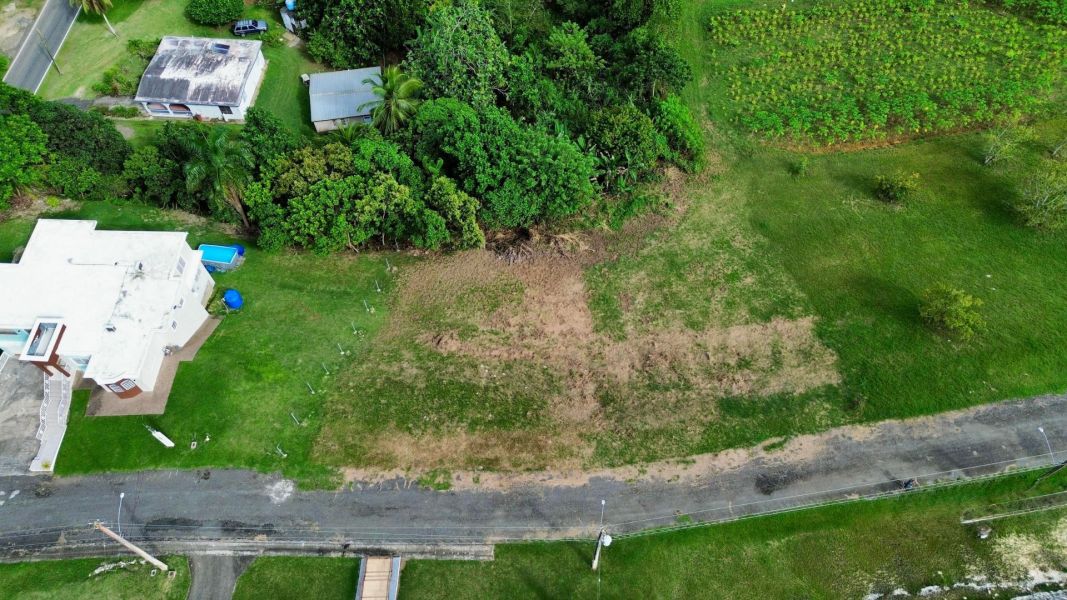 Bo Robles Carr 447 Km 4 Hm 6 San Sebastian 00685 PR