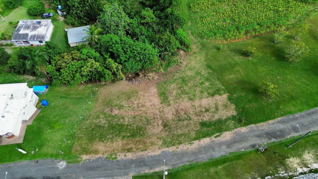 Bo Robles Carr 447 Km 4 Hm 6 San Sebastian 00685 PR