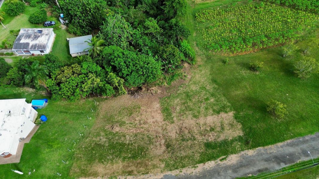 Bo Robles Carr 447 Km 4 Hm 6 San Sebastian 00685 PR