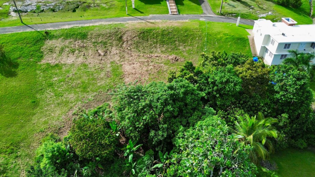 Bo Robles Carr 447 Km 4 Hm 6 San Sebastian 00685 PR