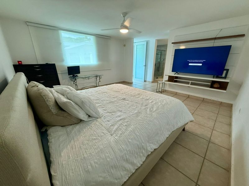 88 Calle Menta Urb Ciudad Jardin, Gurabo - 7