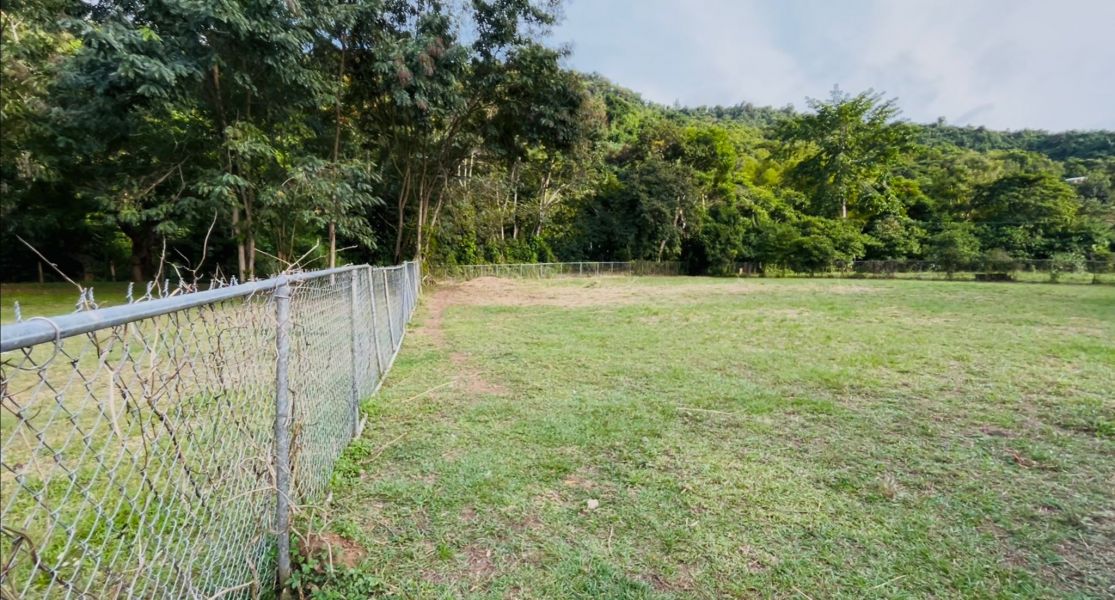 Bo Maton Abajo Carr 14 Ramal 730 Km.hm 0.8 Cayey 00736 PR