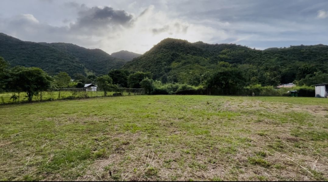 Bo Maton Abajo Carr 14 Ramal 730 Km.hm 0.8 Cayey 00736 PR