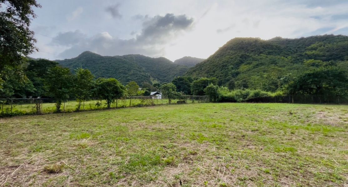 Bo Maton Abajo Carr 14 Ramal 730 Km.hm 0.8 Cayey 00736 PR