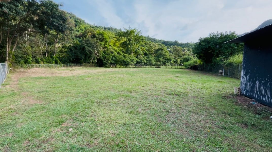 Bo Maton Abajo Carr 14 Ramal 730 Km.hm 0.8 Cayey 00736 PR