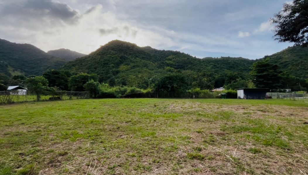 Bo Maton Abajo Carr 14 Ramal 730 Km.hm 0.8 Cayey 00736 PR