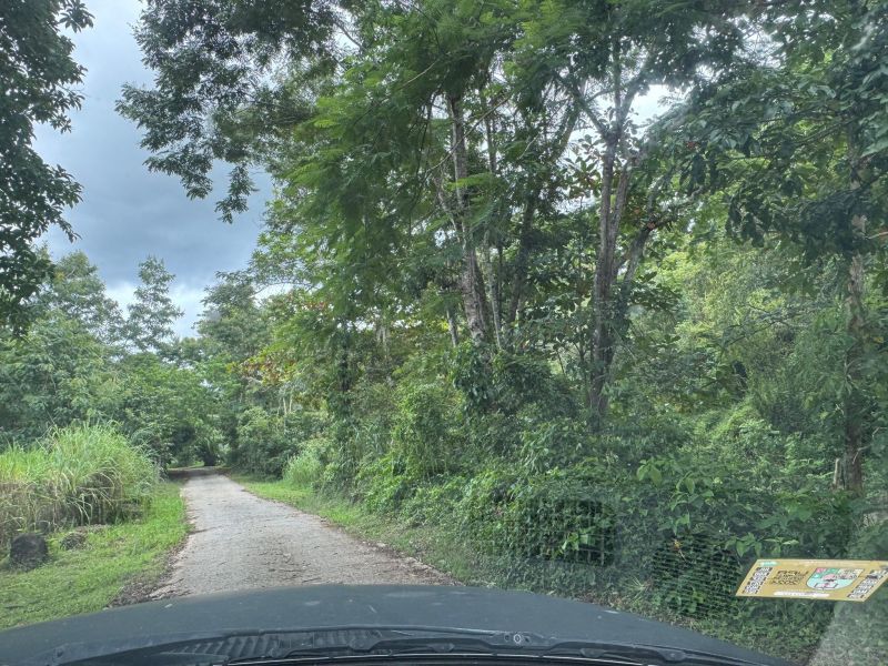 Bo Maton Abajo Carr 14 Ramal 730 Km.hm 0.8 Cayey 00736 PR