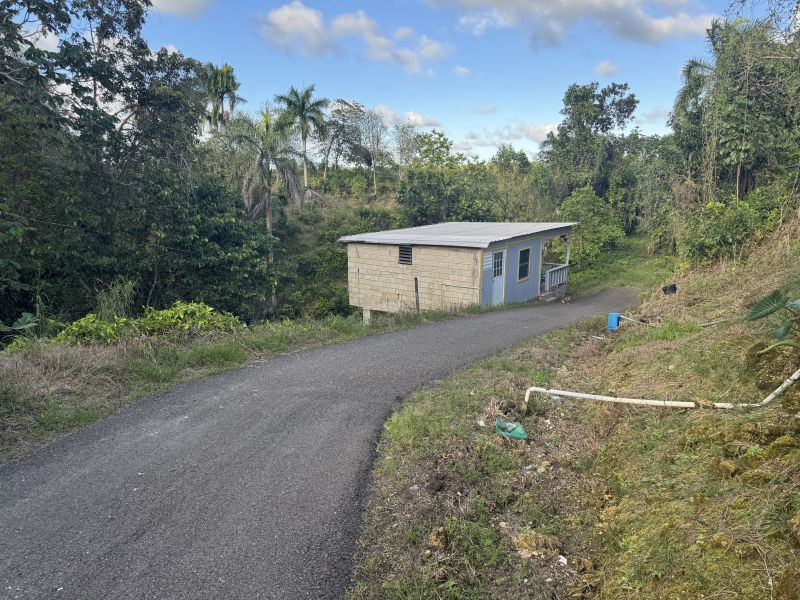 Bo Callejones Sec El 21 Carr 129 Km 21.4 Lares 00664 PR