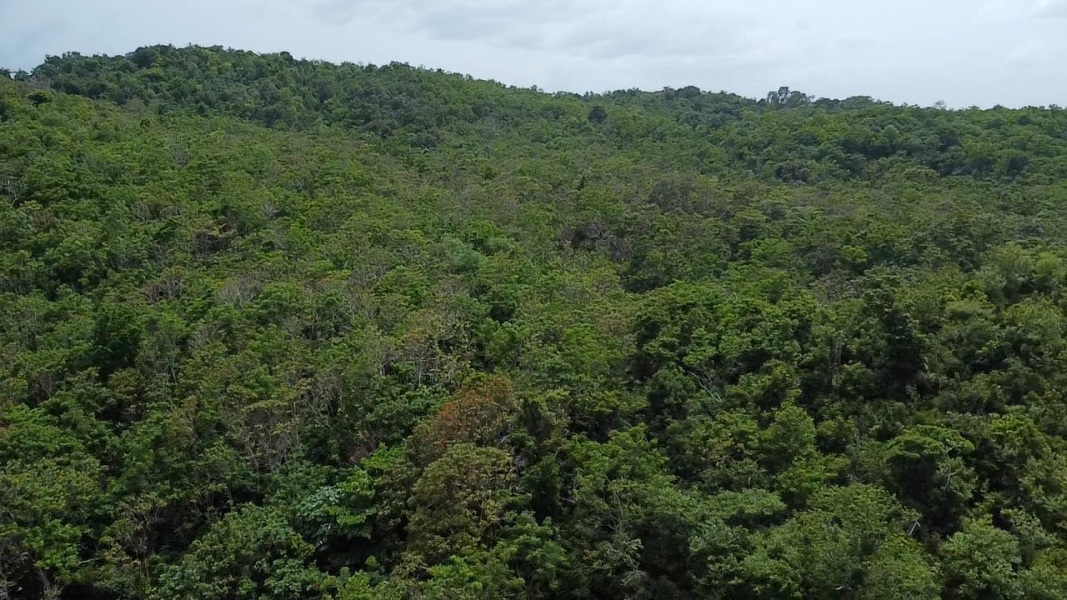 Bo Hato Puerco Carr 185 Km 5 Hm 8 Int Carr 954 Y 1 Canovanas 00729 PR