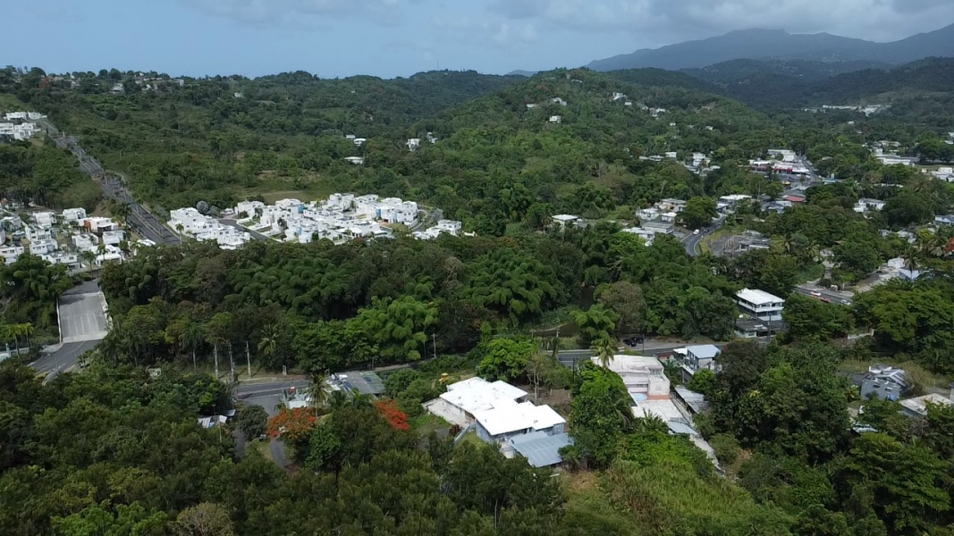 Bo Hato Puerco Carr 185 Km 5 Hm 8 Int Carr 954 Y 1 Canovanas 00729 PR