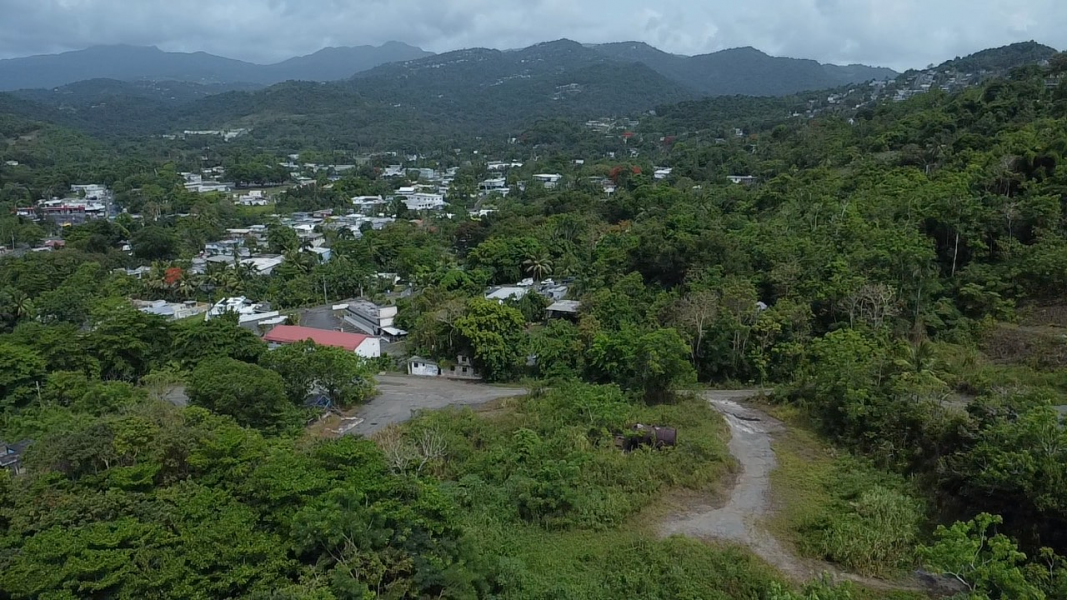 Bo Hato Puerco Carr 185 Km 5 Hm 8 Int Carr 954 Y 1 Canovanas 00729 PR