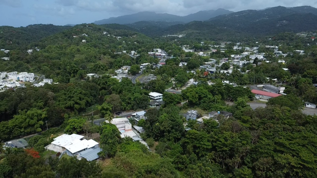 Bo Hato Puerco Carr 185 Km 5 Hm 8 Int Carr 954 Y 1 Canovanas 00729 PR