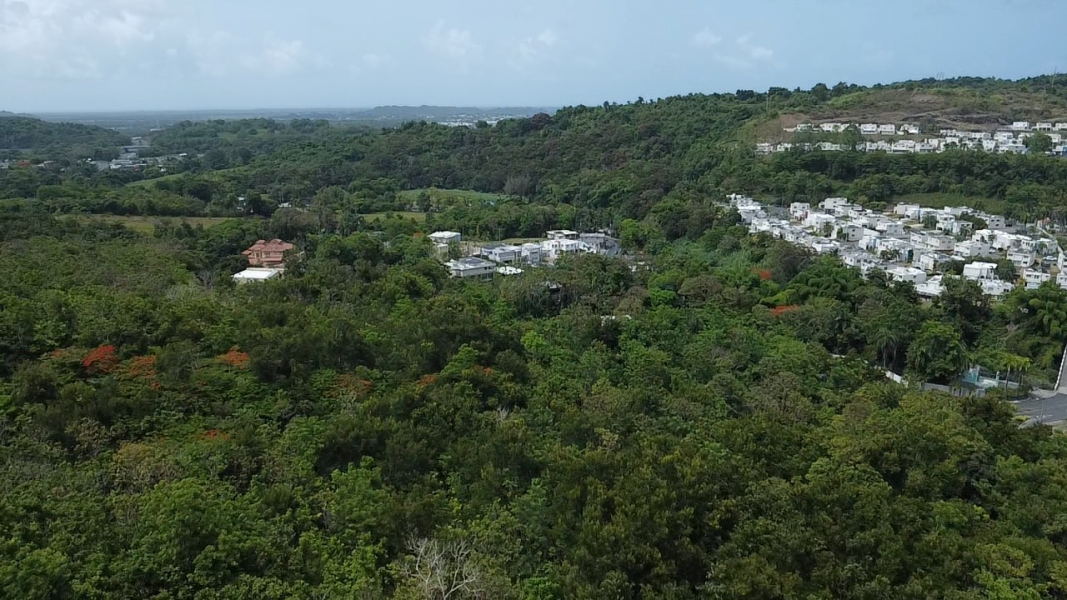 Bo Hato Puerco Carr 185 Km 5 Hm 8 Int Carr 954 Y 1 Canovanas 00729 PR