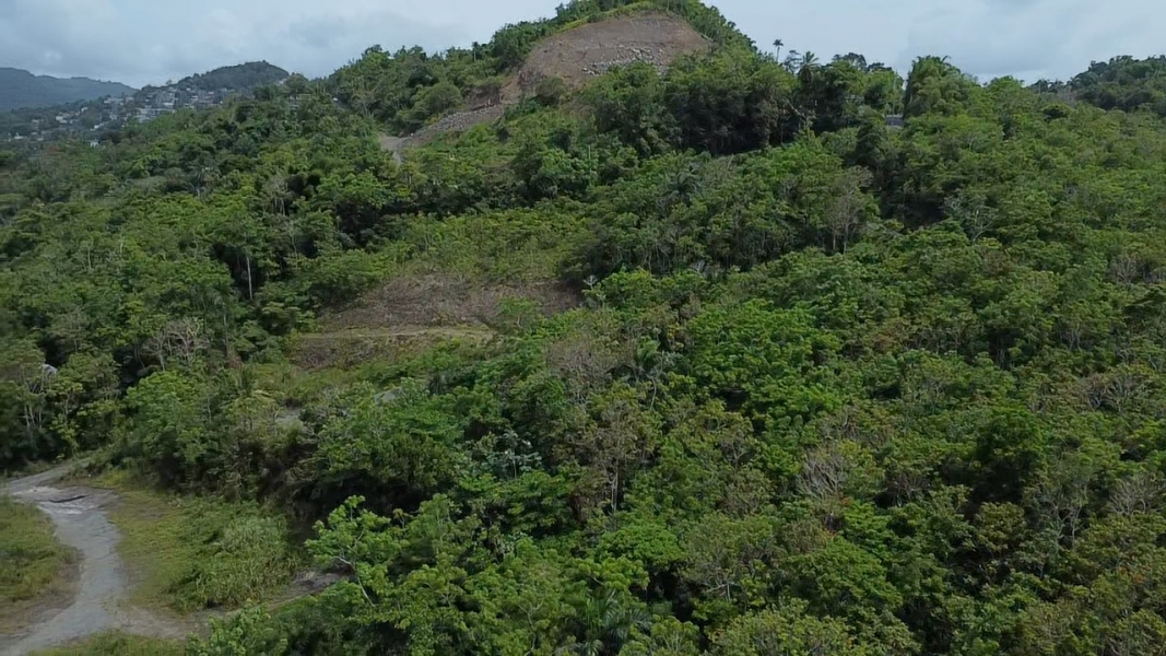 Bo Hato Puerco Carr 185 Km 5 Hm 8 Int Carr 954 Y 1 Canovanas 00729 PR