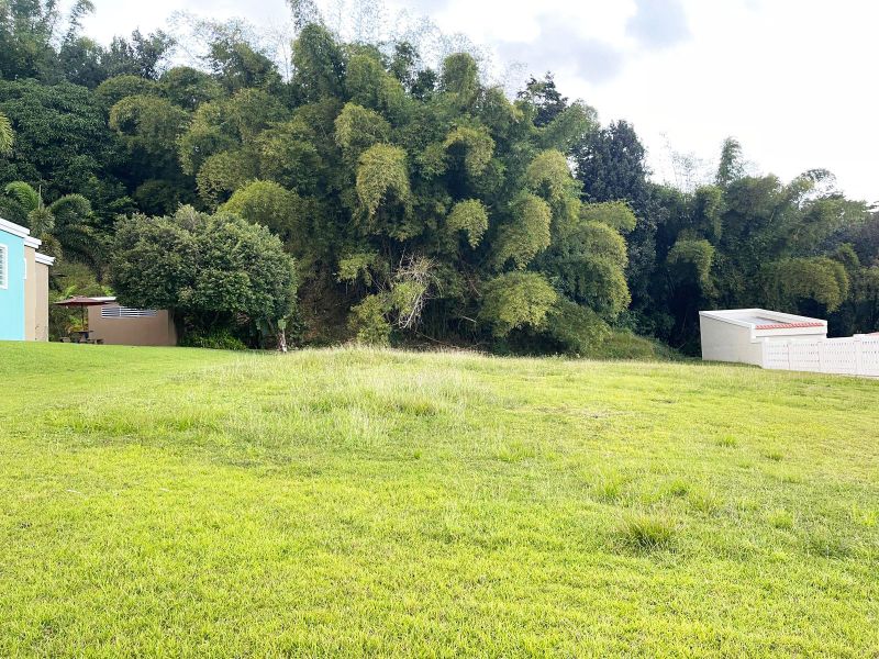 Urb Haciendas Del Caribe Calle Yukiyu I-20 Toa Alta 00953 PR