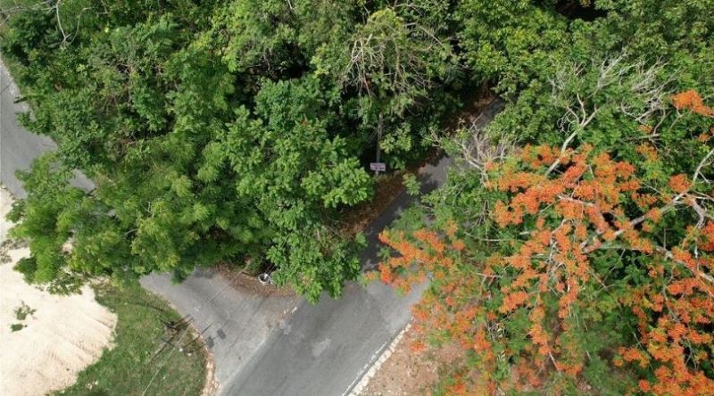 Pr-633 Km 0.9 Bo Barahona Wd, Morovis - 7