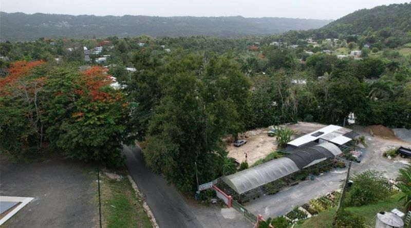 Pr-633 Km 0.9 Bo Barahona Wd, Morovis - 6