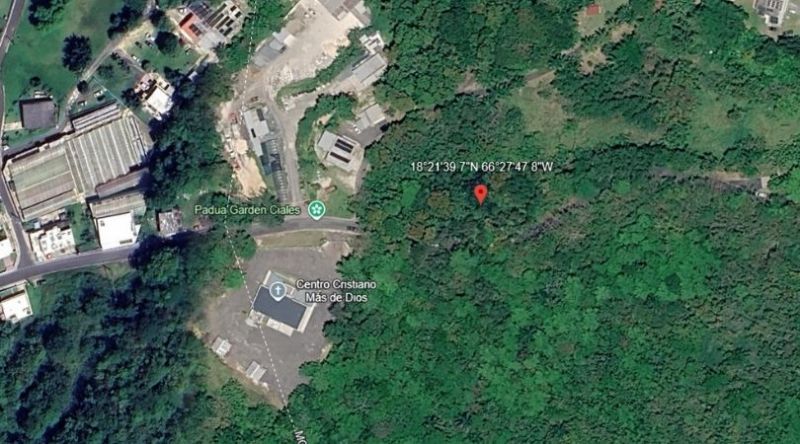 Pr-633 Km 0.9 Bo Barahona Wd, Morovis - 3