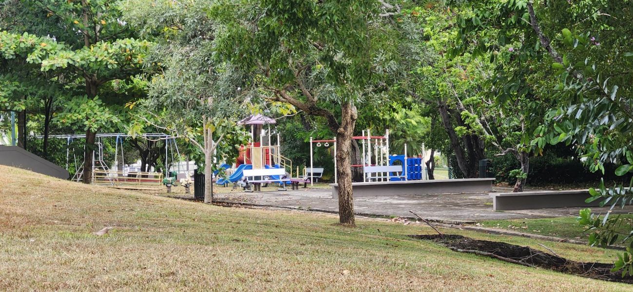Urb. Caparra Hills Calle Yagrumo G 7, Guaynabo - 31