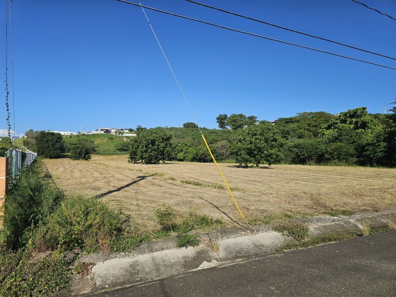 Urb&nbsp;hacienda Casa Blanca Rio Cana Abajo Juana Diaz 00795 PR